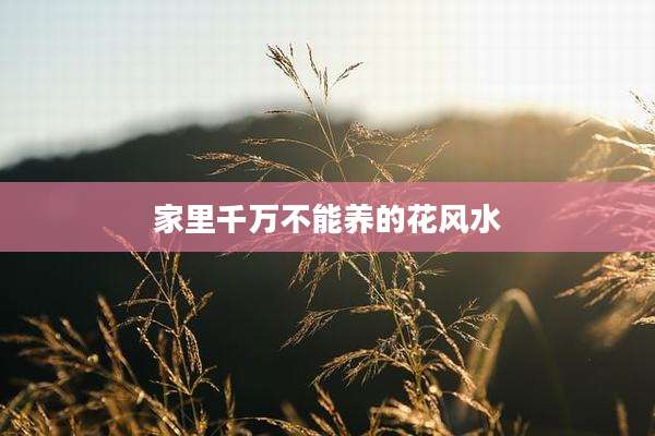 家里千万不能养的花风水