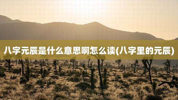 八字元辰是什么意思啊怎么读(八字里的元辰)