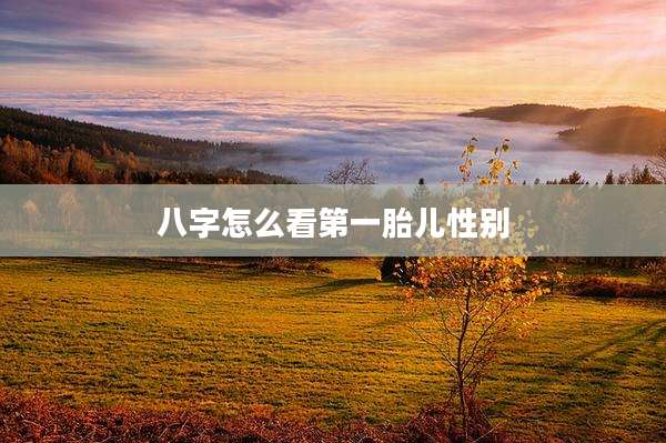 八字怎么看第一胎儿性别