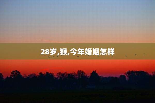 28岁,猴,今年婚姻怎样