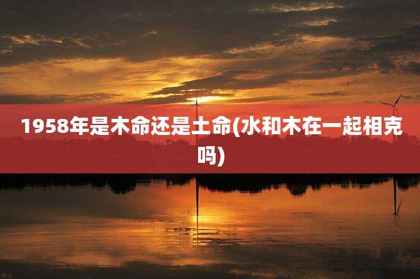 1958年是木命还是土命(水和木在一起相克吗)