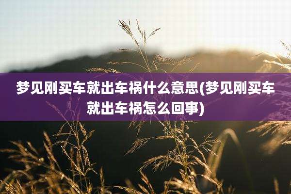 梦见刚买车就出车祸什么意思(梦见刚买车就出车祸怎么回事)