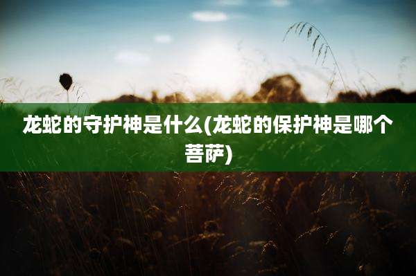 龙蛇的守护神是什么(龙蛇的保护神是哪个菩萨)