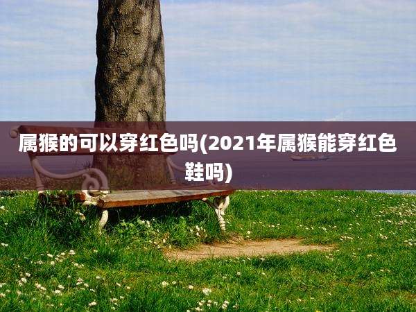 属猴的可以穿红色吗(2021年属猴能穿红色鞋吗)