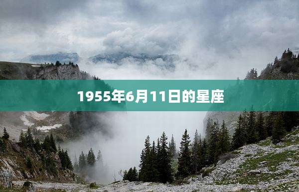 1955年6月11日的星座
