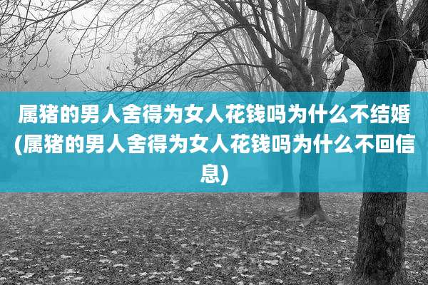 属猪的男人舍得为女人花钱吗为什么不结婚(属猪的男人舍得为女人花钱吗为什么不回信息)
