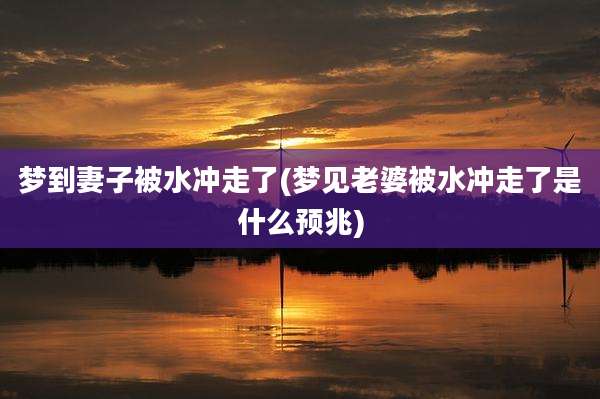梦到妻子被水冲走了(梦见老婆被水冲走了是什么预兆)