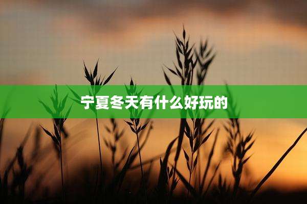 宁夏冬天有什么好玩的