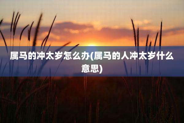 属马的冲太岁怎么办(属马的人冲太岁什么意思)