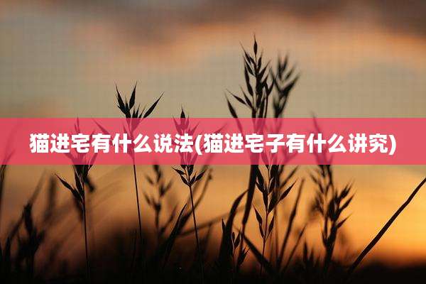 猫进宅有什么说法(猫进宅子有什么讲究)