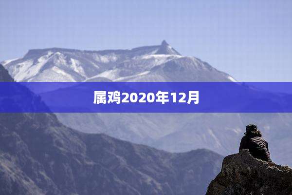 属鸡2020年12月