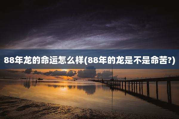 88年龙的命运怎么样(88年的龙是不是命苦?)