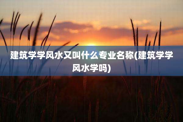 建筑学学风水又叫什么专业名称(建筑学学风水学吗)