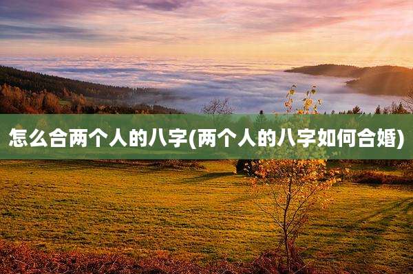 怎么合两个人的八字(两个人的八字如何合婚)