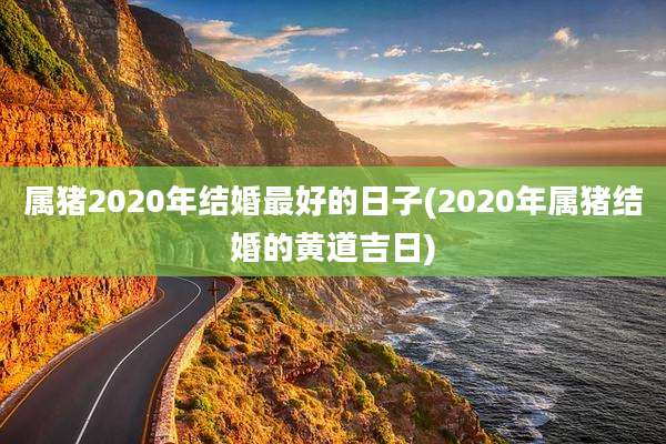 属猪2020年结婚最好的日子(2020年属猪结婚的黄道吉日)