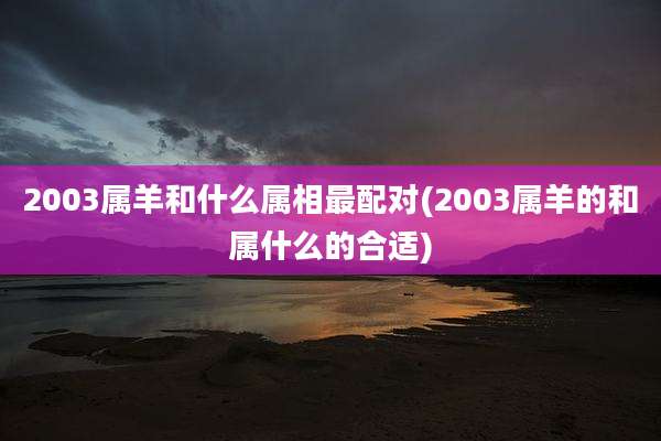 2003属羊和什么属相最配对(2003属羊的和属什么的合适)