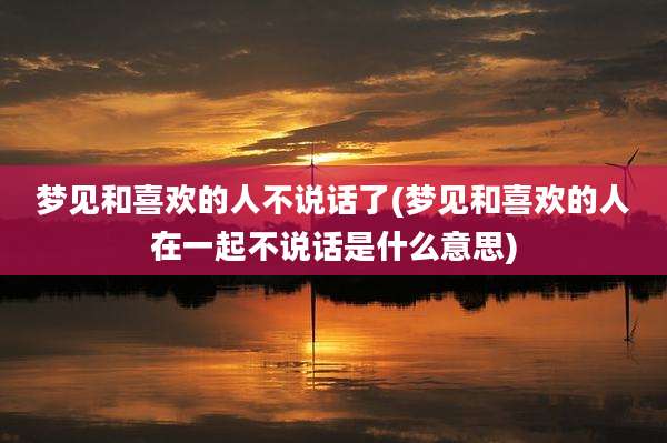 梦见和喜欢的人不说话了(梦见和喜欢的人在一起不说话是什么意思)