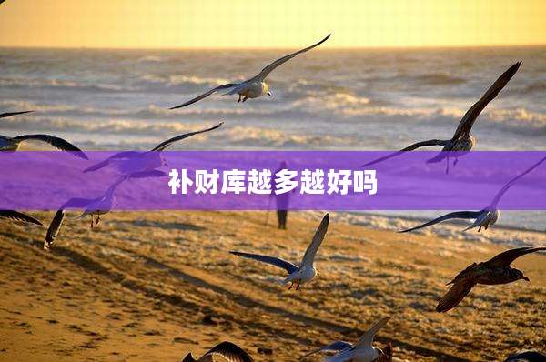 补财库越多越好吗