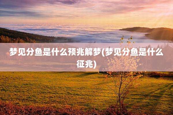 梦见分鱼是什么预兆解梦(梦见分鱼是什么征兆)
