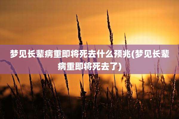 梦见长辈病重即将死去什么预兆(梦见长辈病重即将死去了)