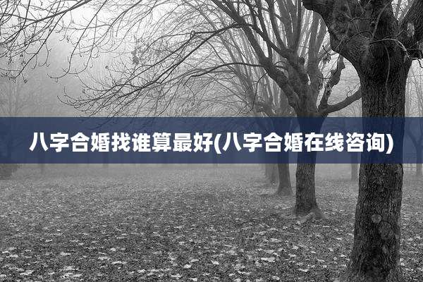 八字合婚找谁算最好(八字合婚在线咨询)
