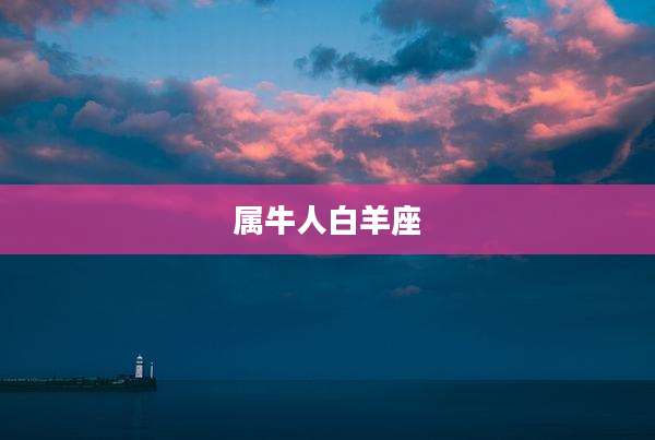属牛人白羊座