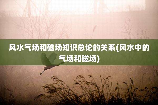 风水气场和磁场知识总论的关系(风水中的气场和磁场)