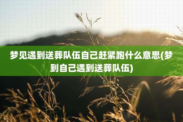 梦见遇到送葬队伍自己赶紧跑什么意思(梦到自己遇到送葬队伍)