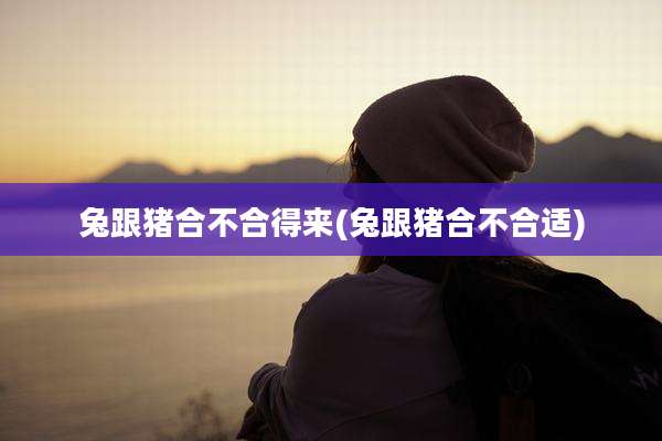 兔跟猪合不合得来(兔跟猪合不合适)