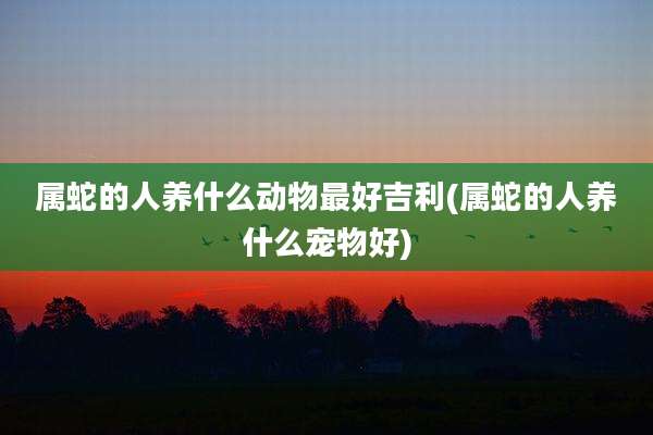 属蛇的人养什么动物最好吉利(属蛇的人养什么宠物好)