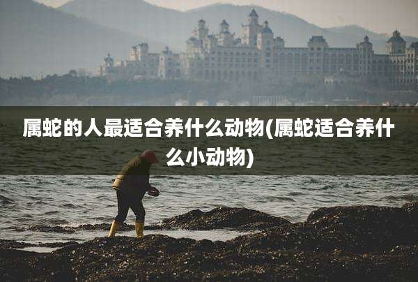 属蛇的人最适合养什么动物(属蛇适合养什么小动物)