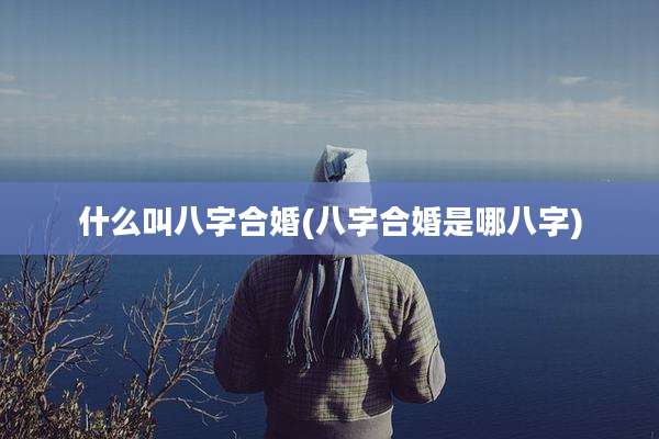什么叫八字合婚(八字合婚是哪八字)