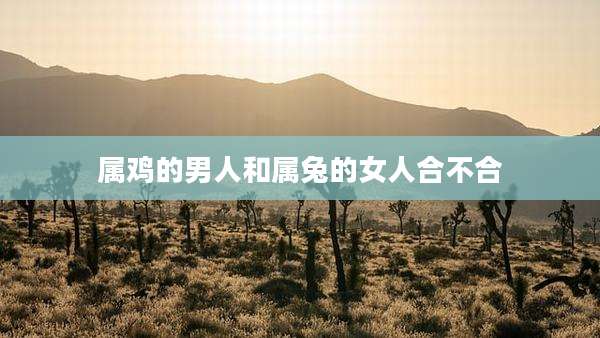 属鸡的男人和属兔的女人合不合