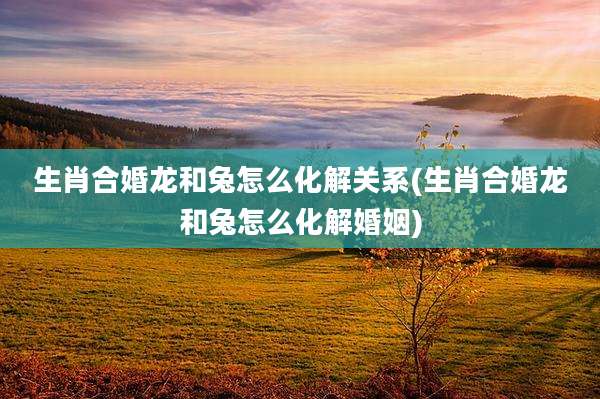 生肖合婚龙和兔怎么化解关系(生肖合婚龙和兔怎么化解婚姻)