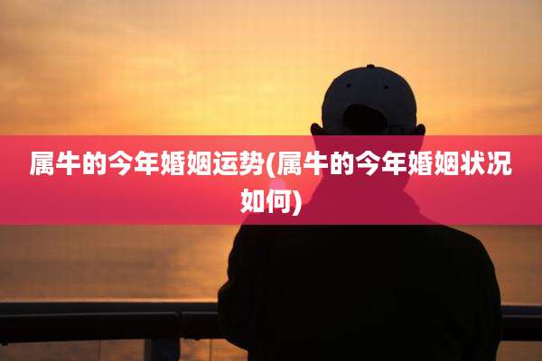 属牛的今年婚姻运势(属牛的今年婚姻状况如何)