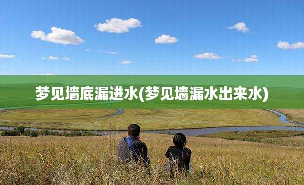 梦见墙底漏进水(梦见墙漏水出来水)