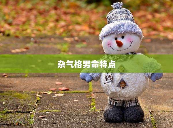 杂气格男命特点
