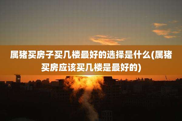属猪买房子买几楼最好的选择是什么(属猪买房应该买几楼是最好的)