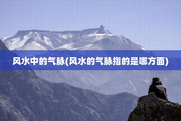 风水中的气脉(风水的气脉指的是哪方面)
