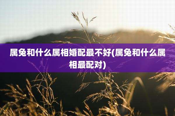 属兔和什么属相婚配最不好(属兔和什么属相最配对)