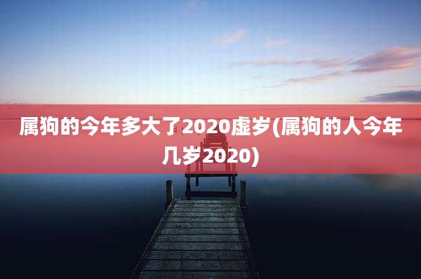 属狗的今年多大了2020虚岁(属狗的人今年几岁2020)