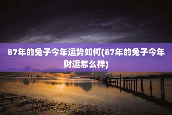 87年的兔子今年运势如何(87年的兔子今年财运怎么样)