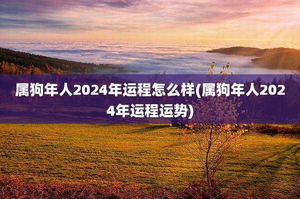 属狗年人2024年运程怎么样(属狗年人2024年运程运势)