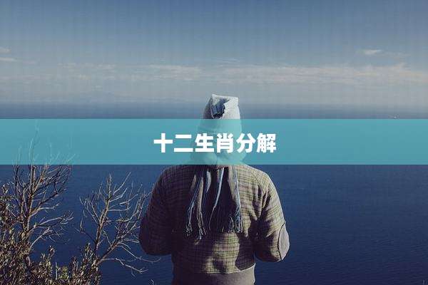 十二生肖分解