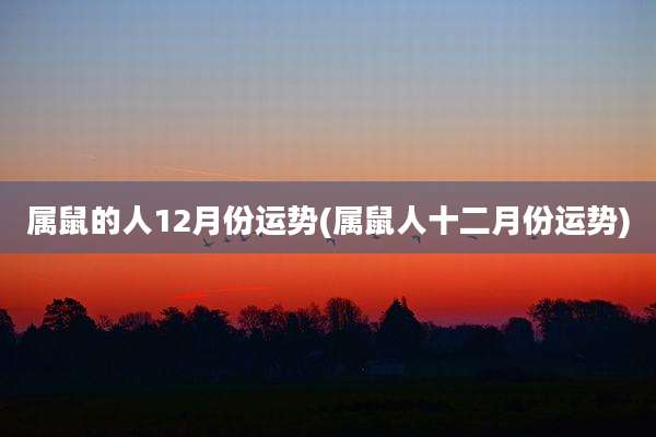 属鼠的人12月份运势(属鼠人十二月份运势)