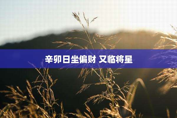 辛卯日坐偏财 又临将星
