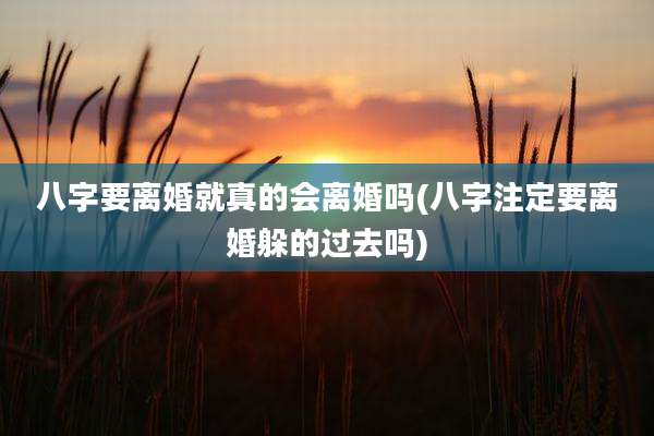 八字要离婚就真的会离婚吗(八字注定要离婚躲的过去吗)