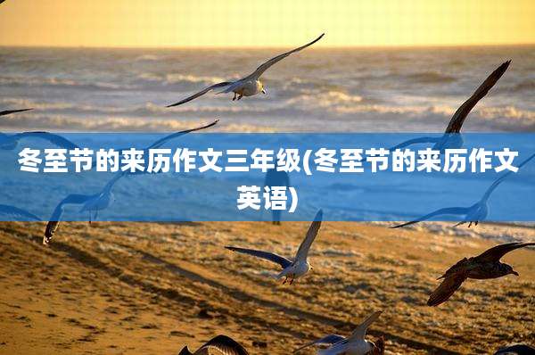 冬至节的来历作文三年级(冬至节的来历作文英语)