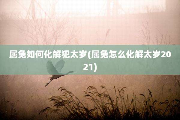 属兔如何化解犯太岁(属兔怎么化解太岁2021)