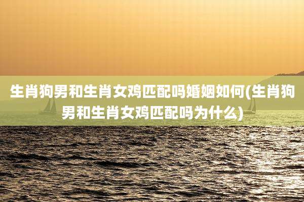 生肖狗男和生肖女鸡匹配吗婚姻如何(生肖狗男和生肖女鸡匹配吗为什么)